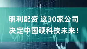明利配资 这30家公司决定中国硬科技未来！