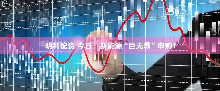 明利配资 今日，新能源“巨无霸”申购！