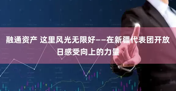 融通资产 这里风光无限好——在新疆代表团开放日感受向上的力量