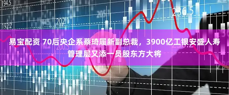 易宝配资 70后央企系蔡琦履新副总裁，3900亿工银安盛人寿管理层又添一员股东方大将